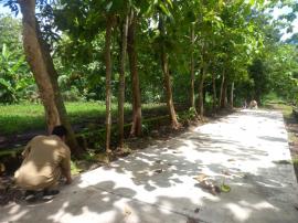 Pembangunan Cor Rabat Munggur Terkendala Hujan, Pemkal Ngipak Lakukan Monitoring